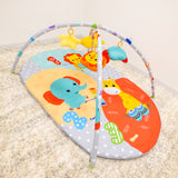 Musical Safari- Adult Play Gym
