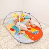 Musical Safari- Adult Play Gym